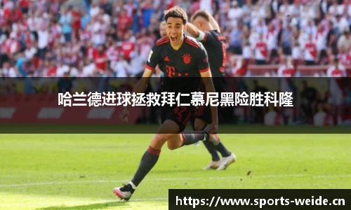 韦德体育