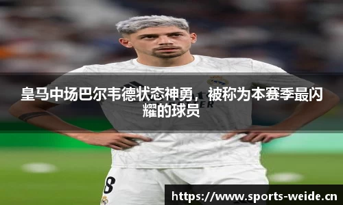 韦德体育